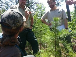 Partners discuss shortleaf pine restoration near Roses Creek (photo by Adam Warwick, TNC)